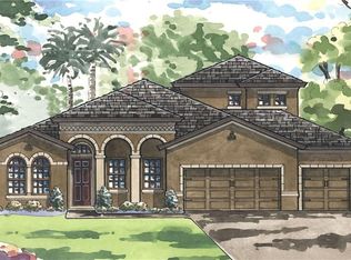 2846 Valencia Ridge St, Valrico, FL 33596