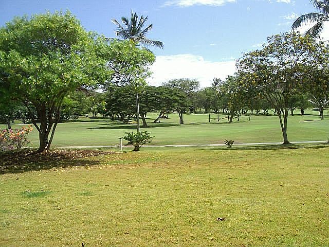 Golf Course back yard