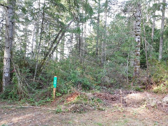 4th image of 10 E West Dr #98528