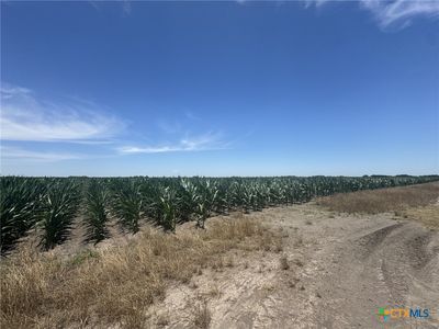 County Road 335 Rd, Louise, TX, 77455