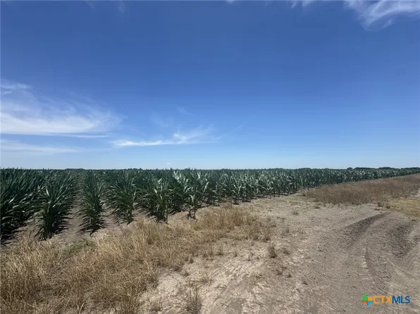 County Road 335 Rd, Louise, TX 77455