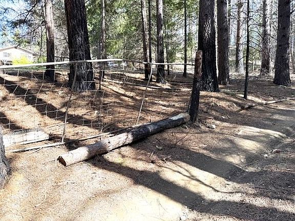 2nd image of 10015 Eliza Gulch Rd