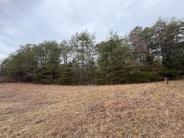 O Off Allen Chapel Rd, Parrottsville, TN 37843