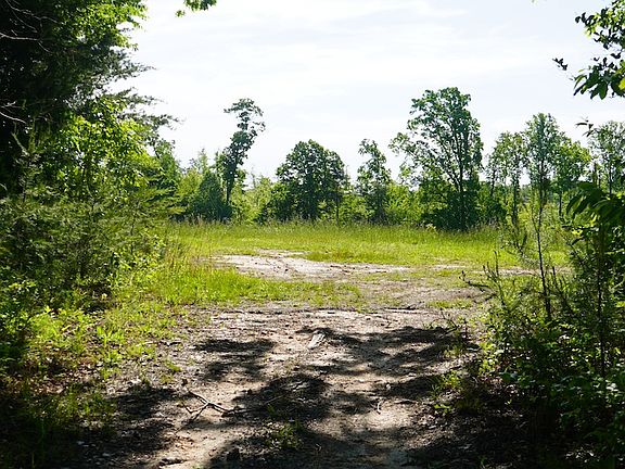 3rd image of 522 Whitworth Rd