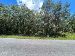 0 Malauka Radl #6, Ocklawaha, FL 32179