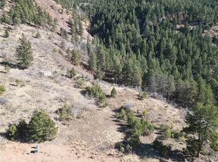 19 Blue Haven Pl, Woodland Park, CO 80863