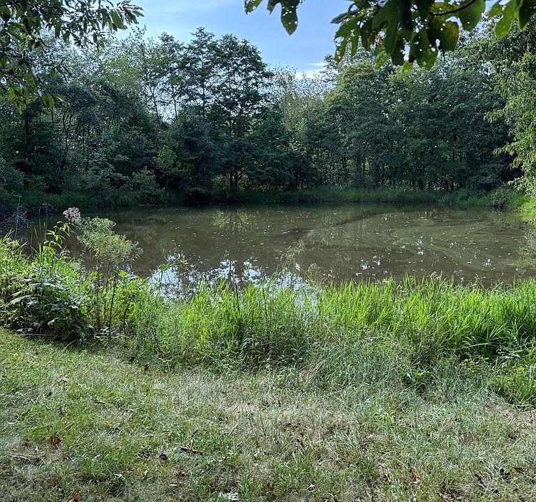 2nd image of 311 Buchanan Rd