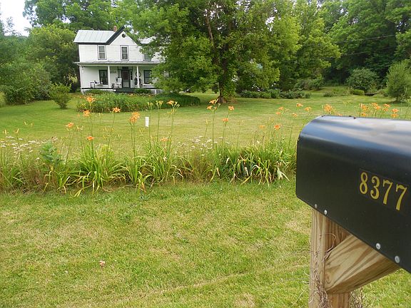 front yard with day lilies