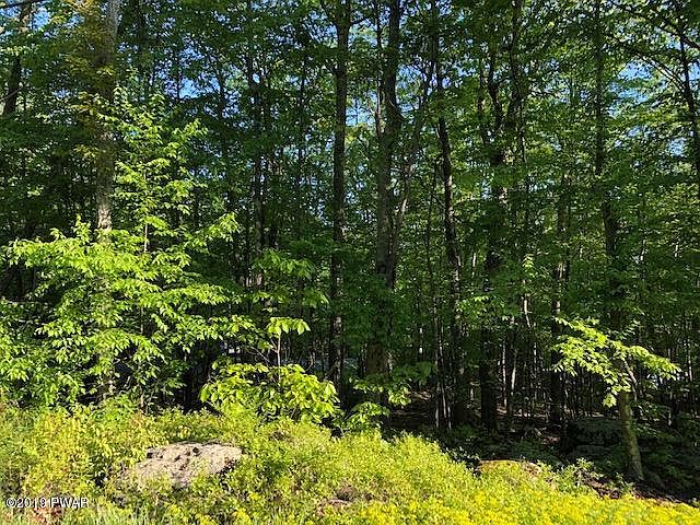 2nd image of 225 Forest Dr
