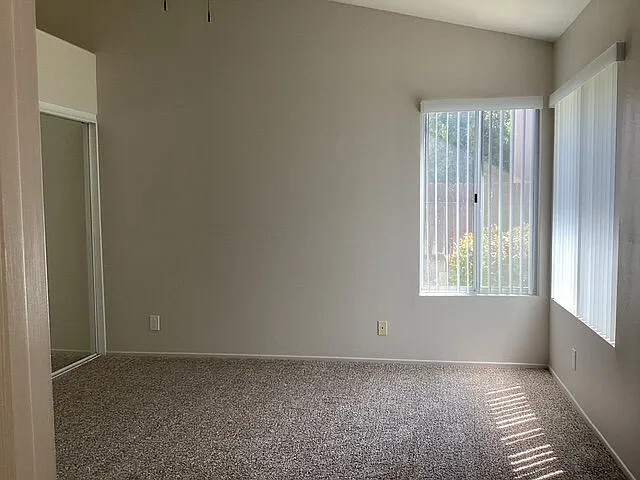 3716 Vireo Dr — Photo 11