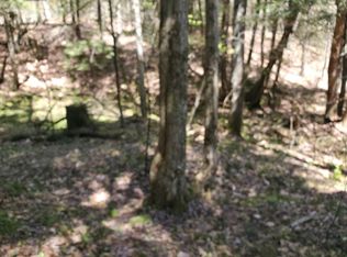 85 Bear Mountain Rd, East Wallingford, VT 05742