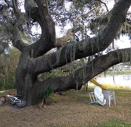 5th image of 1217 Lakeside Dr