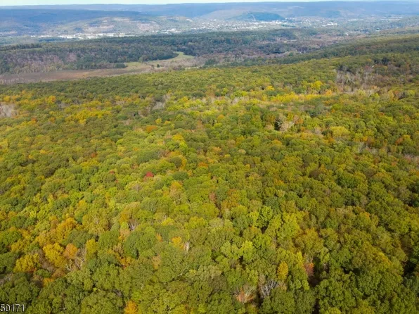 56 Steenykill Rd, Montague Twp., NJ 07827