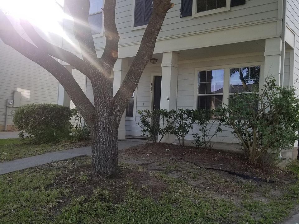 2nd image of 803 Dragonfly Dr