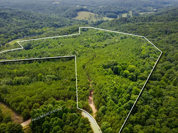 0 Falls Branch Rd Lot 5, Duck River, TN 38454