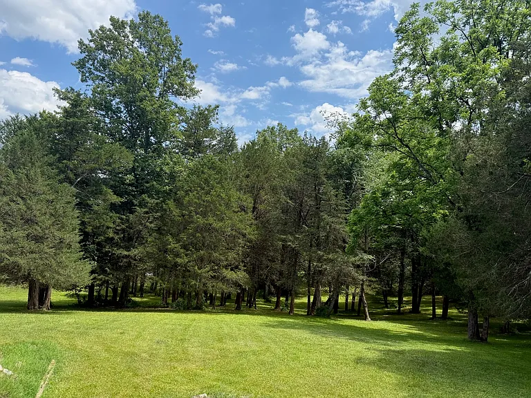 9459 Piney Mountain Rd — Photo 15