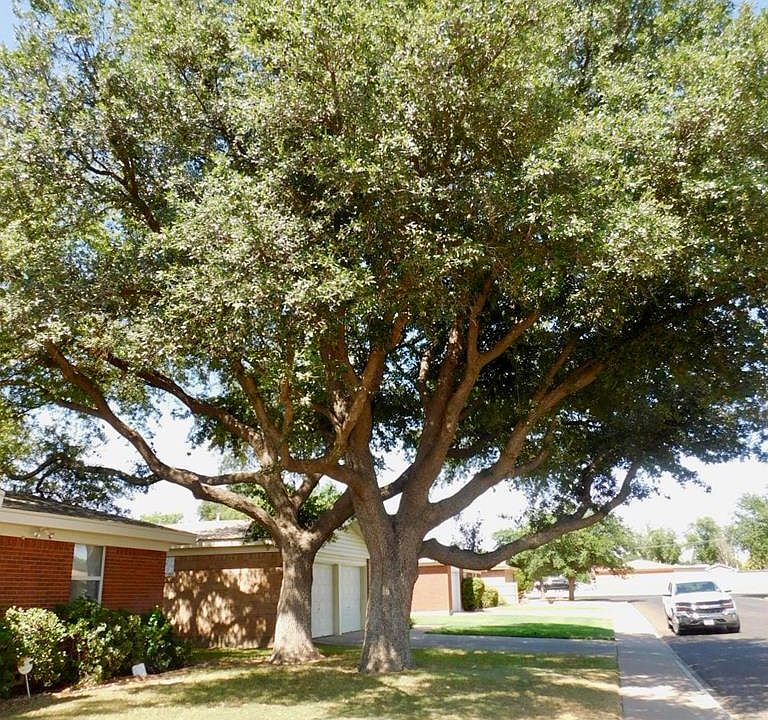 1st image of 1215 Douglas Dr
