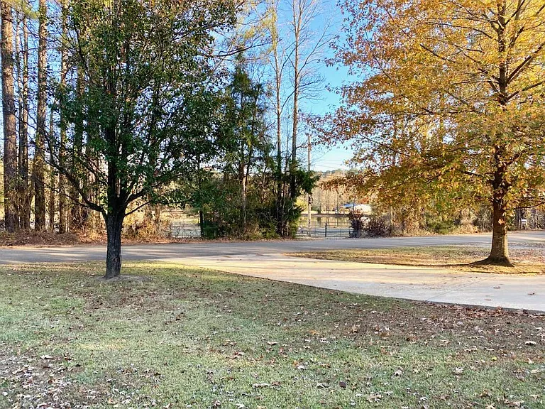 301 County Road 1001 — Photo 27