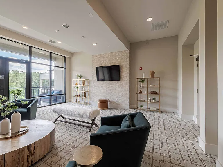 The Apartments at Palladian Place — Photo 23