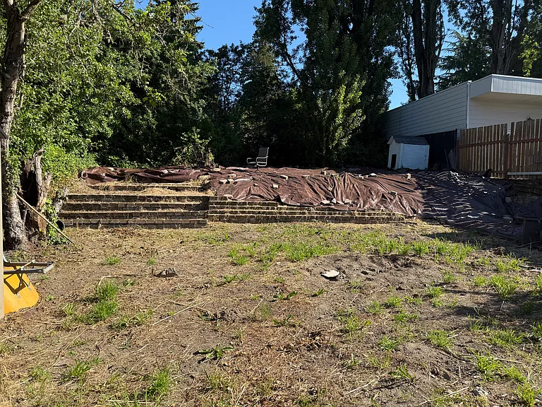 Big Backyard