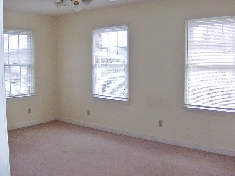 225 Cross Anchor Pl — Photo 10