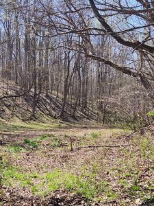 0 Lowery Cemetery Rd, Stewart, TN, 37175