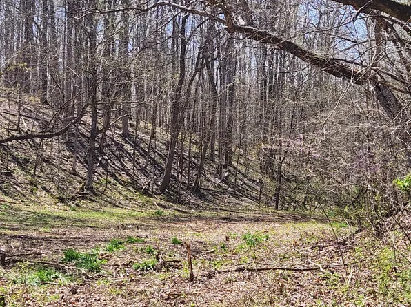 0 Lowery Cemetery Rd, Stewart, TN 37175