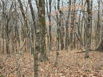 10527 E Devils Den Rd, Winslow, AR, 72959