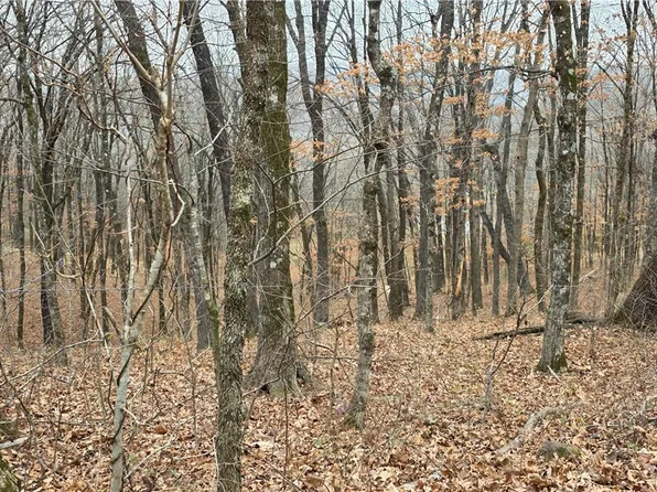 10527 E Devils Den Rd, Winslow, AR 72959