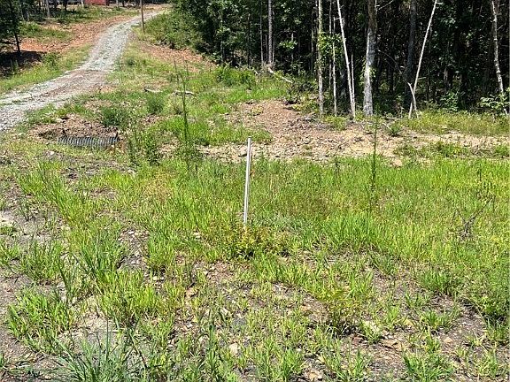 4th image of 5 Goats Bluff Rd