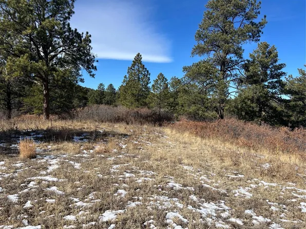 6764 Yampa Drive LOT 9, Larkspur, CO 80118