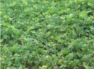 6207 Black Warrior Rd, Tuscaloosa, AL 35401