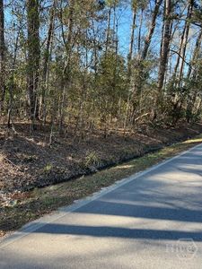 0 South Pine Street, Bloomingdale, GA, 31302