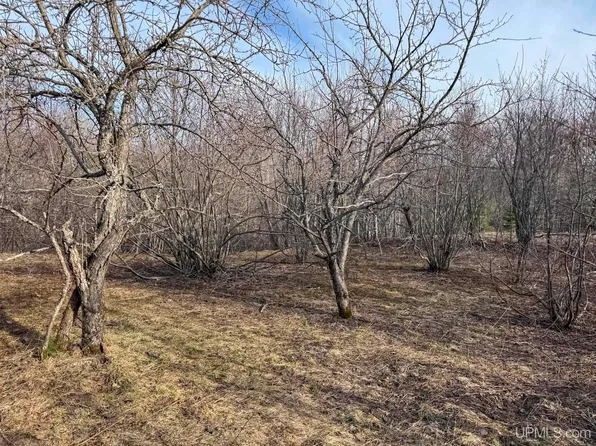 LOT Mohawk Gay Rd #D, Mohawk, MI 49950