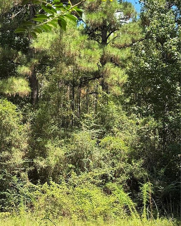 1st image of 1715 Lena Flatwoods Rd