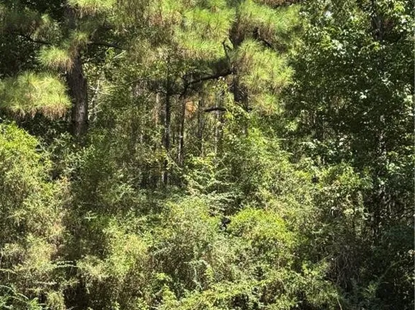 1715 Lena Flatwoods Rd, Lena, LA 71447