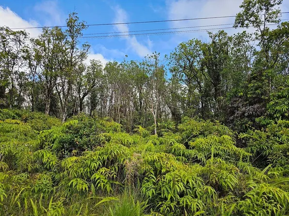 Jungle King Ave Lot 71, Volcano, HI 96785