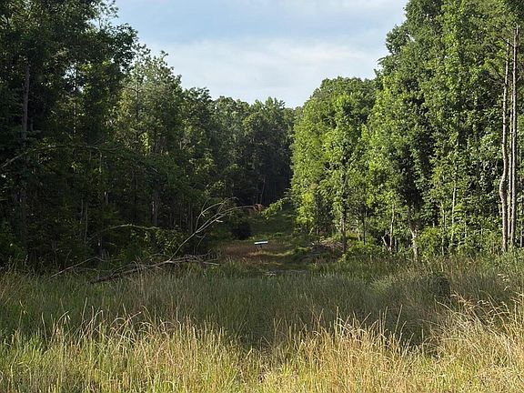 2nd image of County Road 159