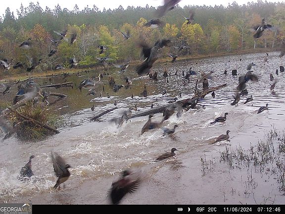 5th image of 3312 Hunts Chapel Rd