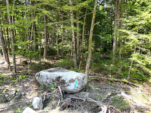 3rd image of Lot 1 Upper Sunset Shores