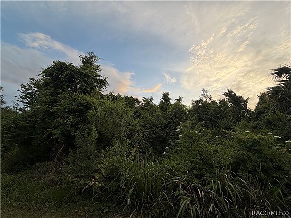 2nd image of 1062 N Fan Palm Point