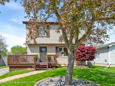 217 Elm St, Grand Ledge, MI, 48837