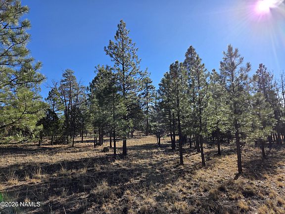 5th image of 4302 Timberline Dr