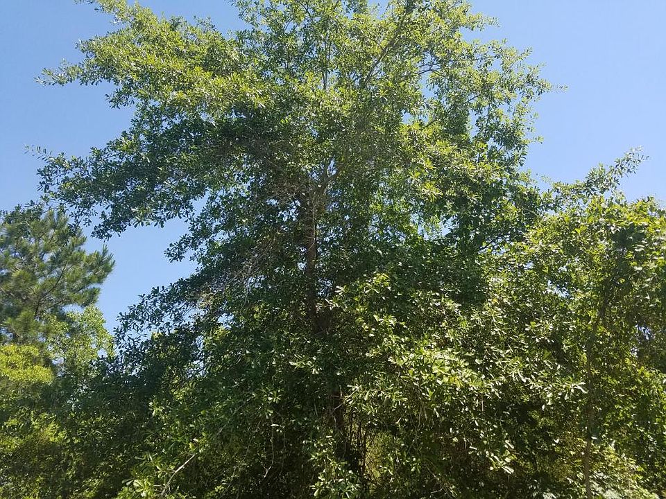 1st image of 11601 Bayou View Dr