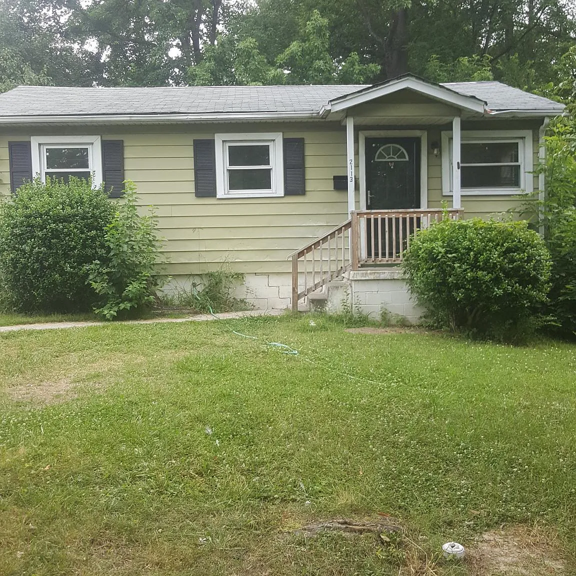 3 bed, 800 sqft, $1,450 — Photo 1