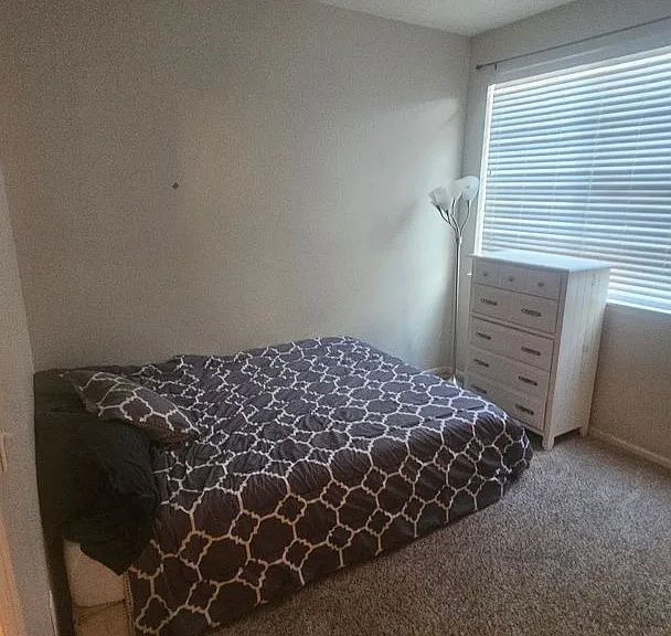 2109 Grays Peak Dr #103 — Photo 10
