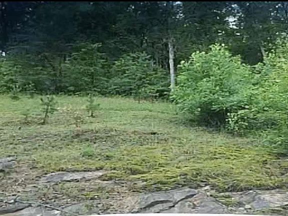 4th image of 36 Us Highway 119