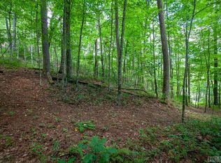 Lot 120 Lonesome Valley Rd, Sapphire, NC 28774