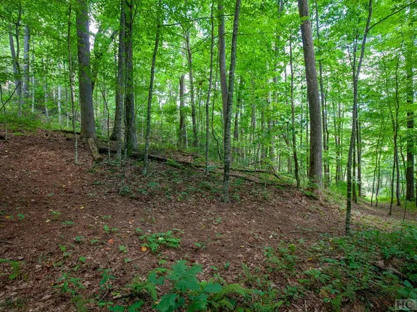 Lot 120 Lonesome Valley, Sapphire, NC 28774