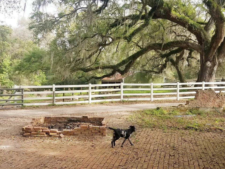 Large yard with beautiful trees